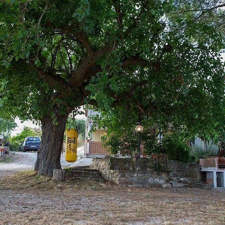 Casa Vacanze Diamante Ogliastro Cilento Kültér fotó