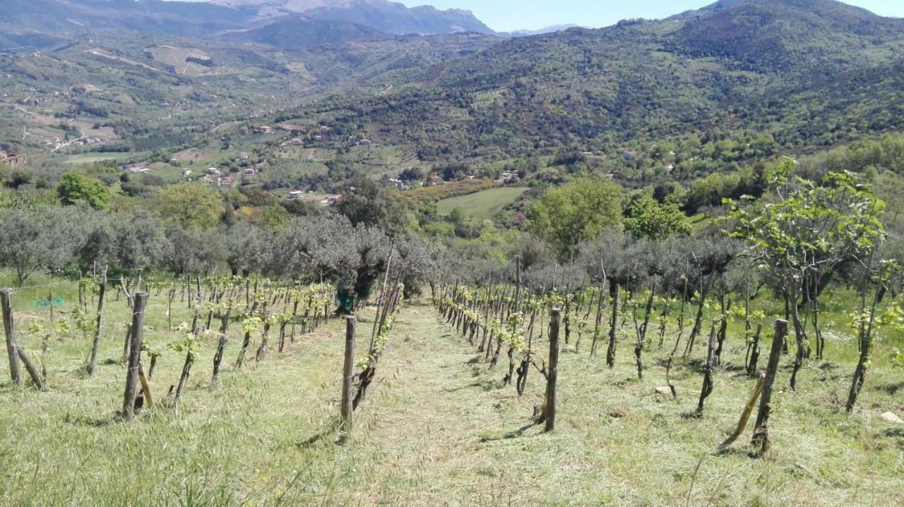 Casa Vacanze Diamante Ogliastro Cilento Kültér fotó
