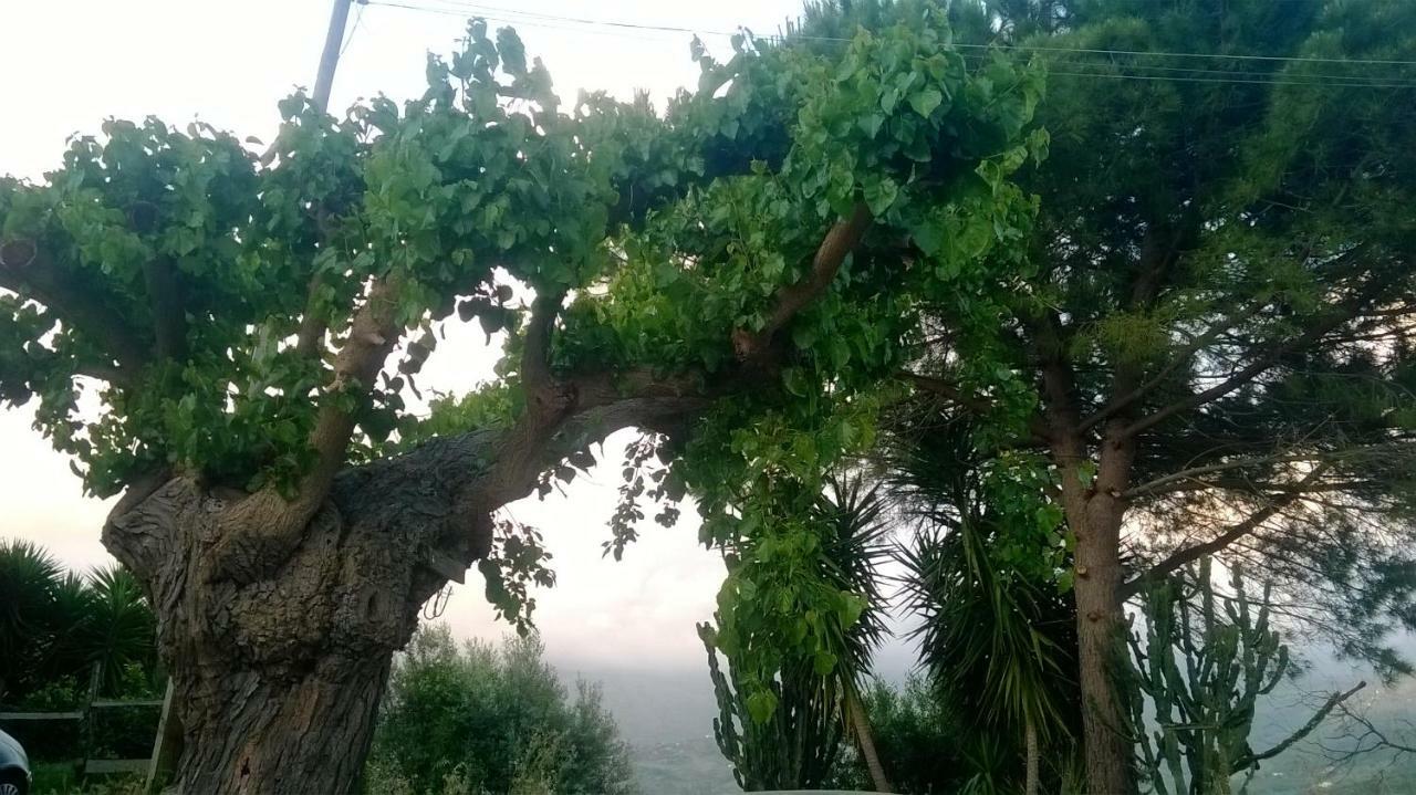 Casa Vacanze Diamante Ogliastro Cilento Kültér fotó