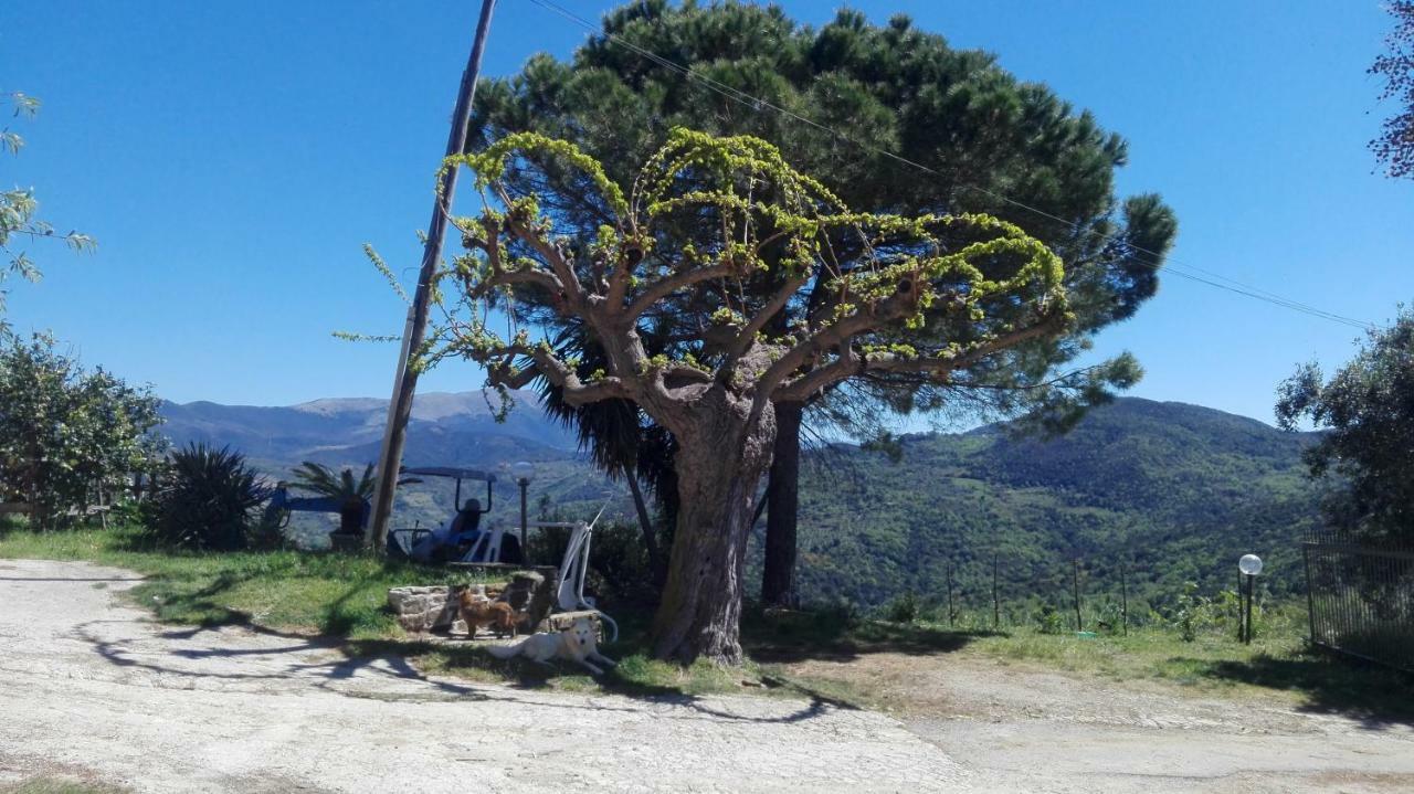 Casa Vacanze Diamante Ogliastro Cilento Kültér fotó