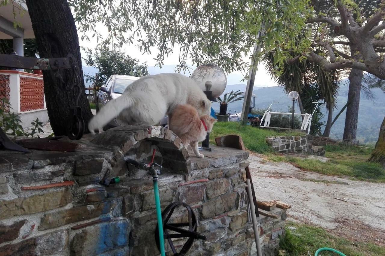 Casa Vacanze Diamante Ogliastro Cilento Kültér fotó